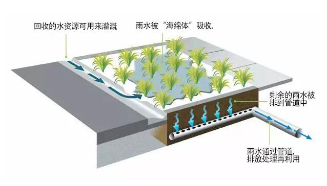 海綿城市建設(shè)