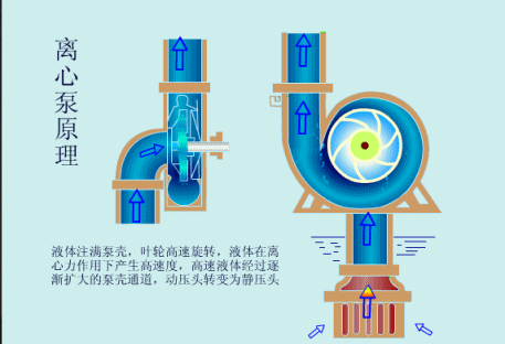 離心泵的工作原理